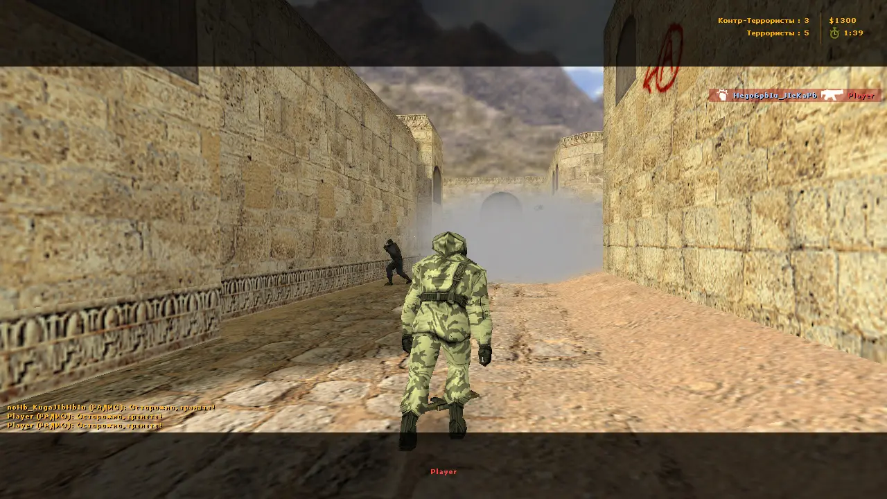 Скриншот 3 — CS 1.6 без анимации