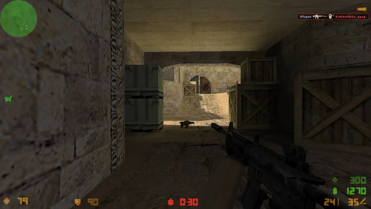Скриншот 3 — CS 1.6 с защитой